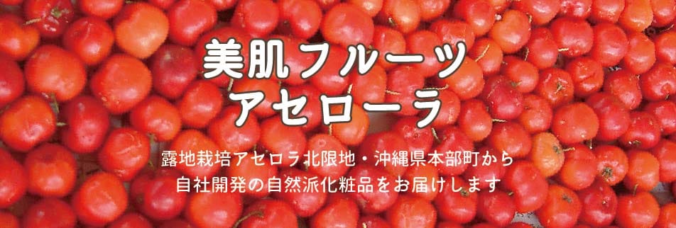 美ら女子になれる 沖縄ご当地コスメ アセロラ 化粧品 赤い果実の美らものがたり やんばる彩葉 敏感肌 アルコールフリー ニキビケア 肌トラブル 自然派コスメ 沖縄 本部町